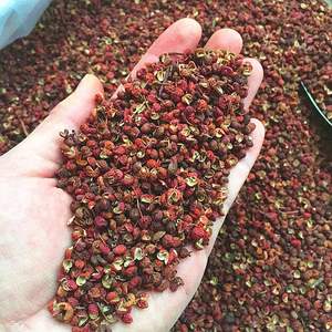 Sıcak satış doğal gıda baharat Sichuan baharatlı lezzet kırmızı Szechuan biber baharat - Product Image 3
