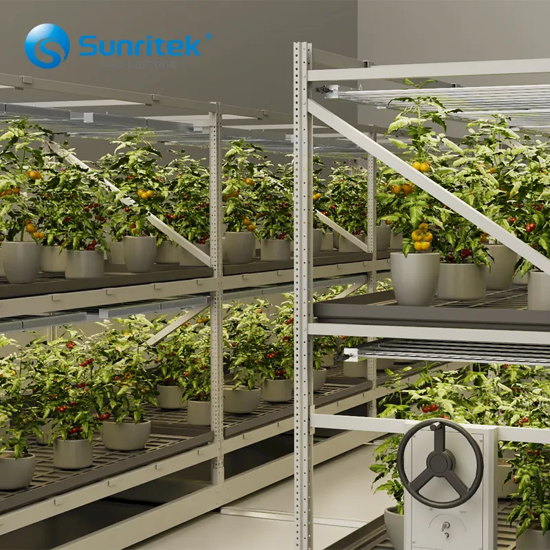 Sunristek Vertical Greenhouse cultivo shelving Sistema crescente 4x8FT móvel crescer cremalheira para agricultura interior