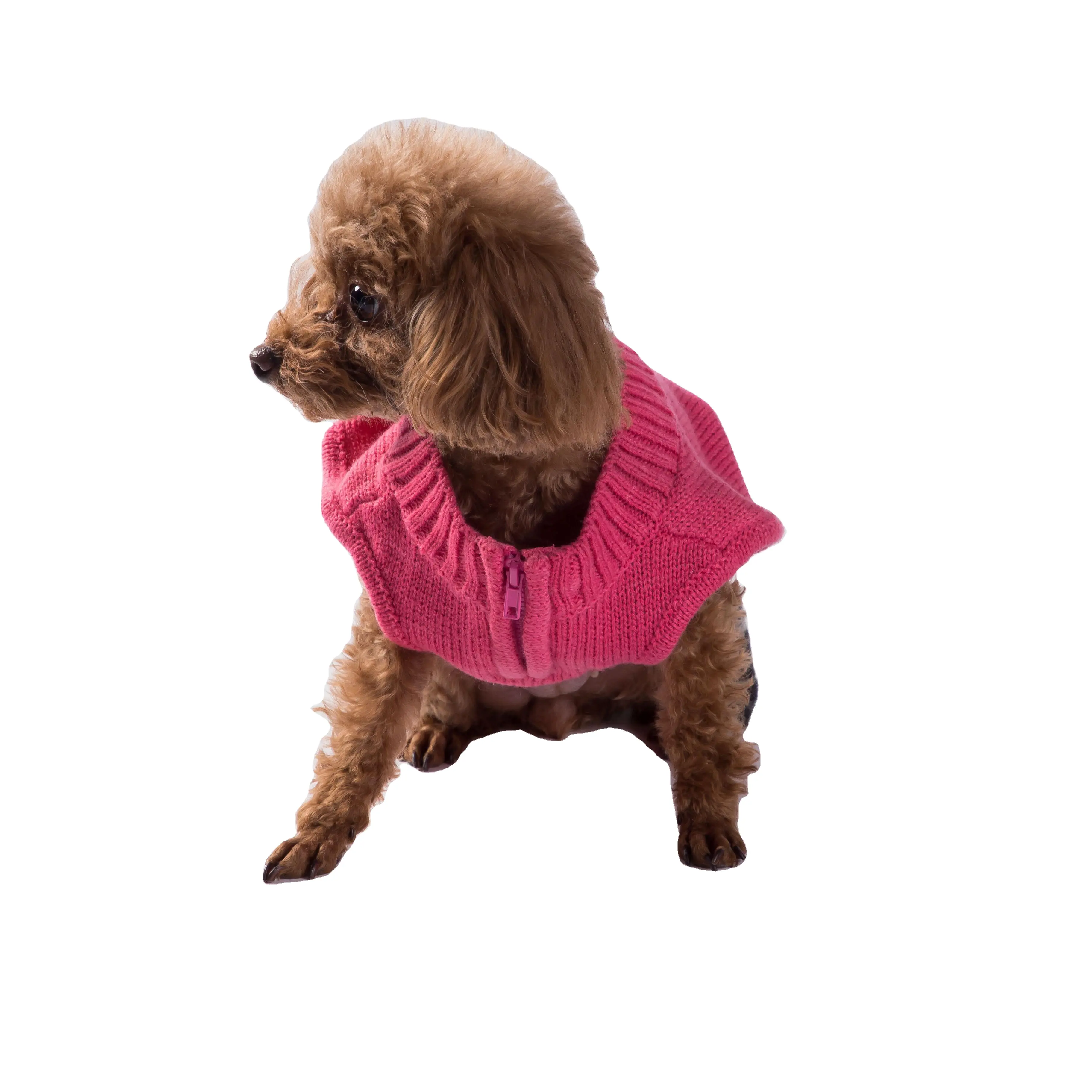 2024, оптовая продажа, модное дизайнерское теплое зимнее пальто с капюшоном для собак, роскошное пальто, свитер, платье для собак