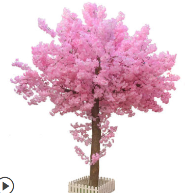 4.pink 2.5m cherry tree