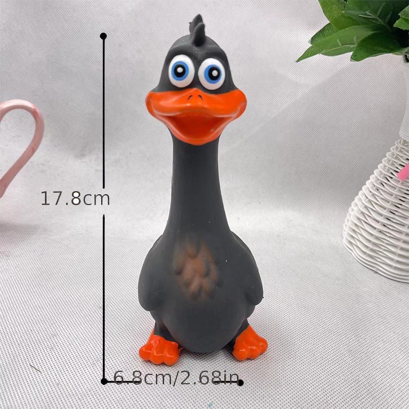Canard noir