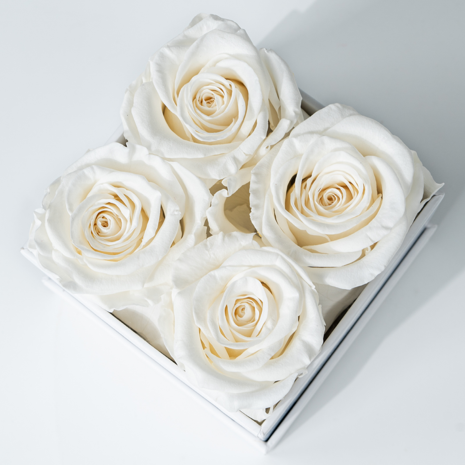 Bianco