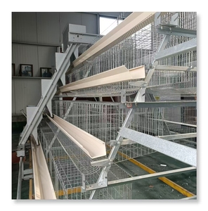 家禽農場10000鳥層産卵鶏ケージ鶏卵層クープ南アフリカ共和国 - Product Image 6