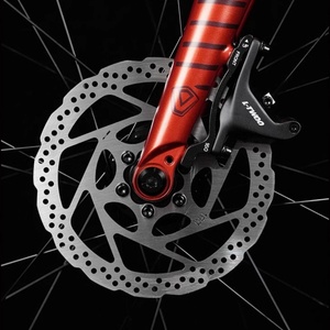 JAVA Road Bike lega di alluminio 16 velocità freno a disco idraulico ghiaia Off road Sequoia LTWOO R3 700C 40C SEQUOIA Java pneumatico largo - Product Image 2