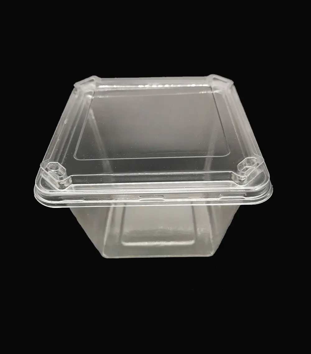 Contenitore per alimenti usa e getta 700 ml scatola per insalata in PET trasparente ciotola per animali domestici trasparente di forma quadrata con coperchio