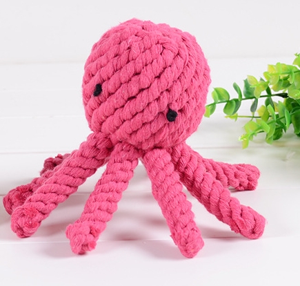 octopus