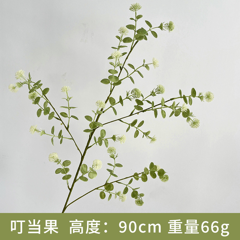 fruta dingdang