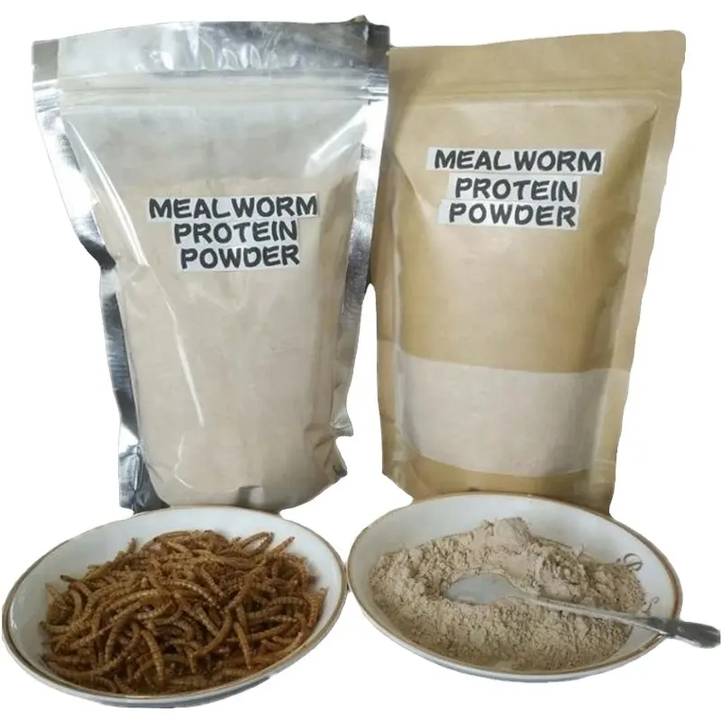Bột Protein Đã Khử Từ Ấu Trùng Mealworm Đối Với Thức Ăn Cho Bò Sát Quý Hiếm