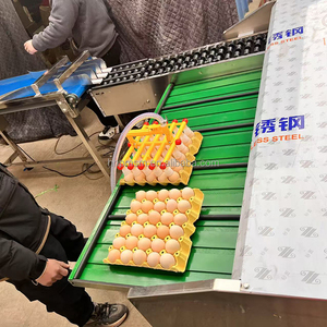Macchina di classificazione delle uova industriale completamente automatizzata con classificazione del peso sistema di confezionamento per la lavorazione delle uova di gallina - Product Image 6
