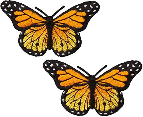 2 PCs monarca