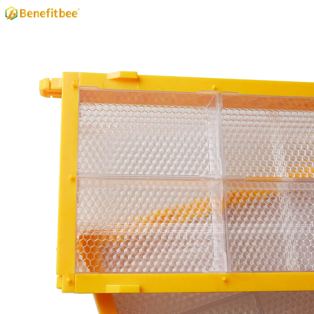 Ferramentas de apicultura de benefitbee, armações de abelha, pente de plástico, quadro de mel