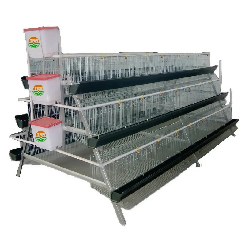 Hot selling chicken farm chicken cage equipment suitable for raising 10000 chickens