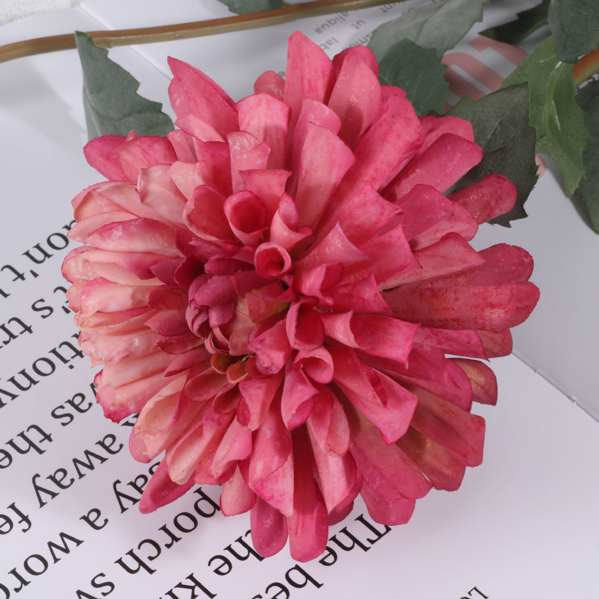 Rose pâle
