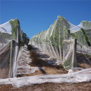 Malla antiinsectos HDPE para protección de verduras, red antiáfidos, 32, 55gsm, fabricación de fábrica - Product Image 6