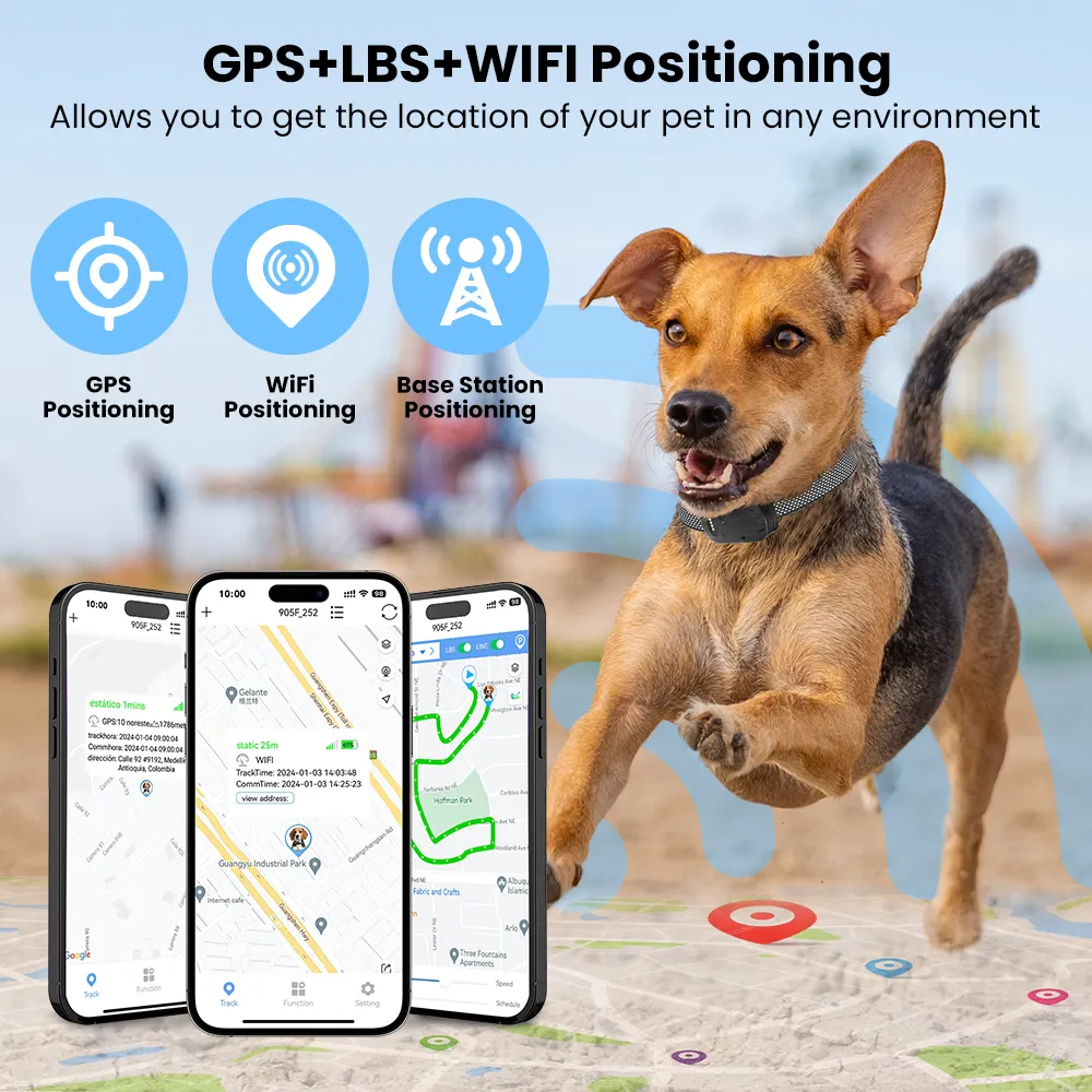 TIZE Logo personalizzato Smart Geo scherma 4G cane GPS Tracker Pet Tracking collare per cani da caccia