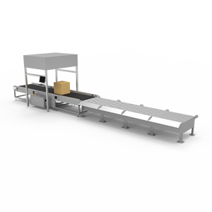 Progettazione professionale del sistema di smistamento logistico Dws programma di smistamento e trasporto automatico di pacchi di grandi dimensioni - Product Image 2