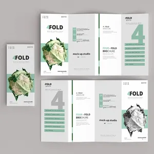 Custom <strong>Flyer</strong> Booklet Instruction Manual Pamphlet Manual Any Size Design Brochure Leaflet Catalogue Product Promotion Advertising - Product Image 4