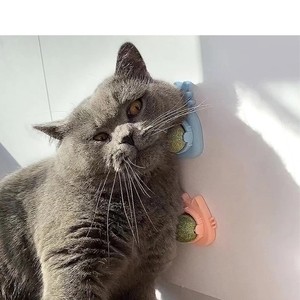 Manufacturer Wholesale Stick on the Wall Self Improvement Cat <strong>Catnip</strong> Toys