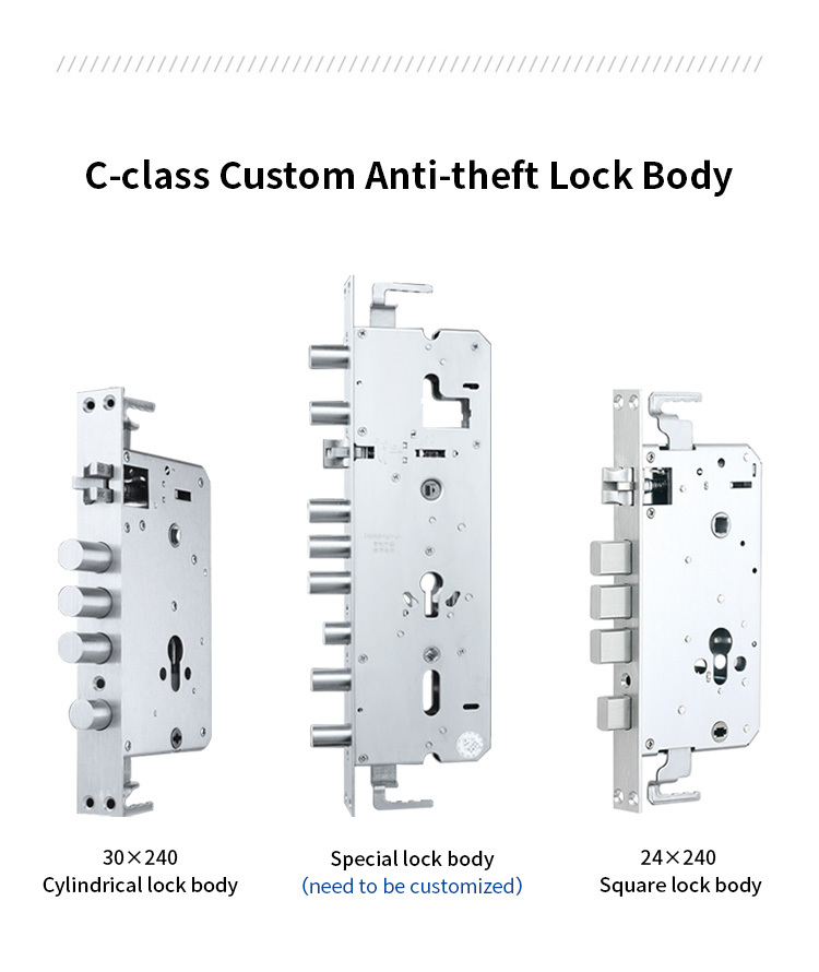 Economic Keyless Handle Fingerprint Door Lock with Wifi Tuya APP
