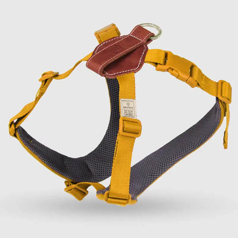Fabricant Néoprène rembourrage souple réglable XL harnais pour chien collier de sublimation et double laisse avec ceinture de sécurité pour animal de compagnie