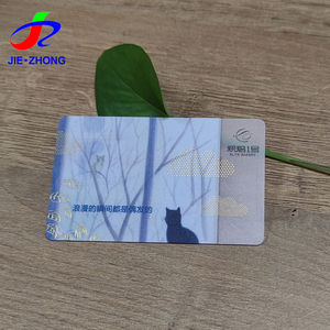 顶级定制信用卡尺寸透明磨砂聚氯乙烯透明名片 - Product Image 2