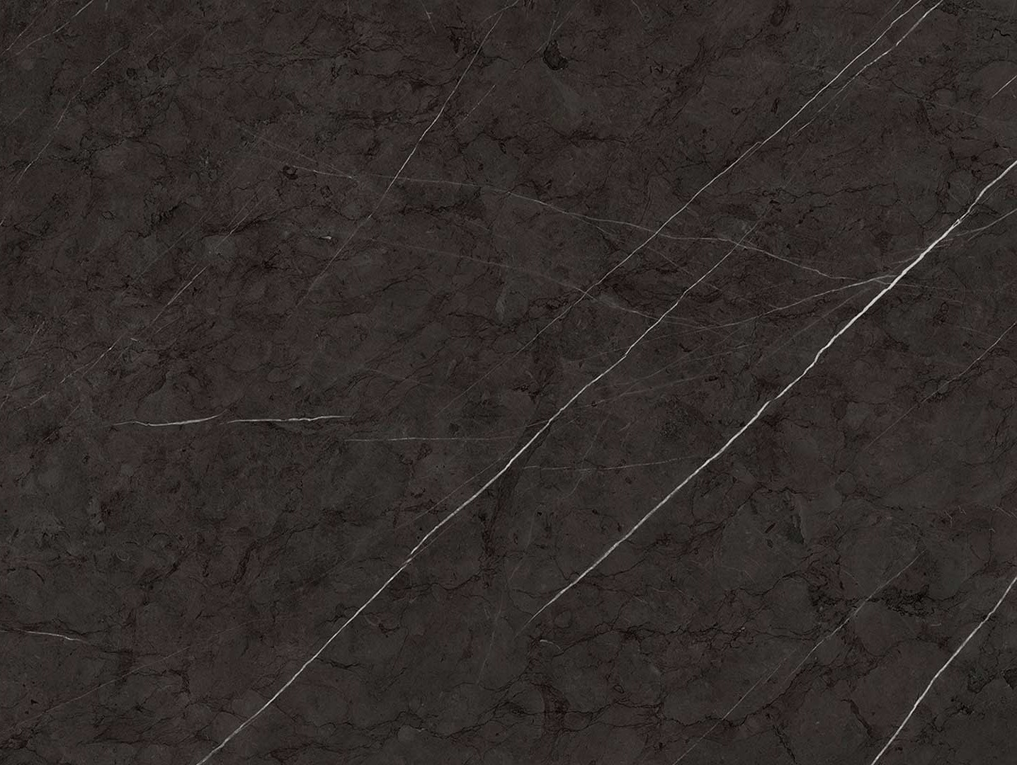 BL19-6576