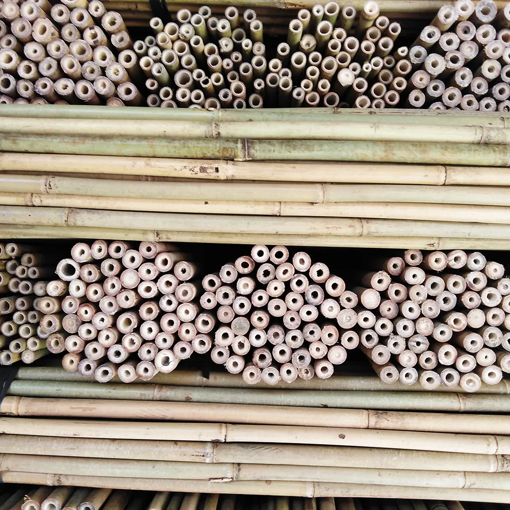 Bastoncini di bambù bruciati rotondi 12 ~ 13mm bastoncini di bambù lisci e lisci all'ingrosso