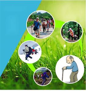 户外运动登山杖北欧碳铝登山杖徒步手杖 - Product Image 6