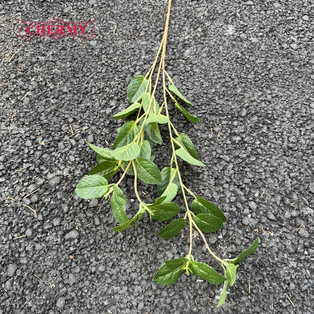 # 3 Plante verte feuille de menthe - 80cm