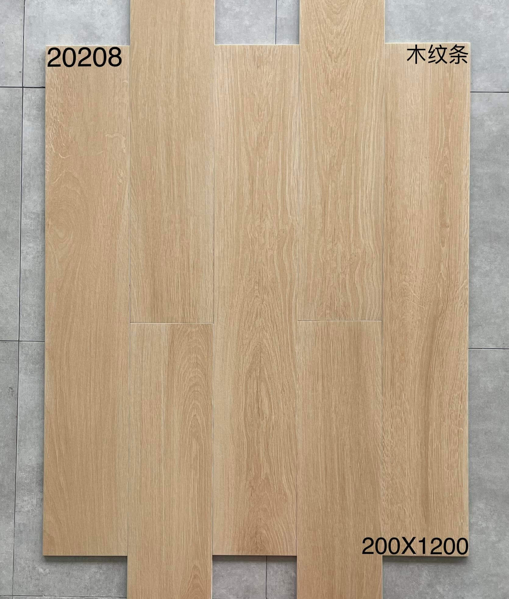 20208