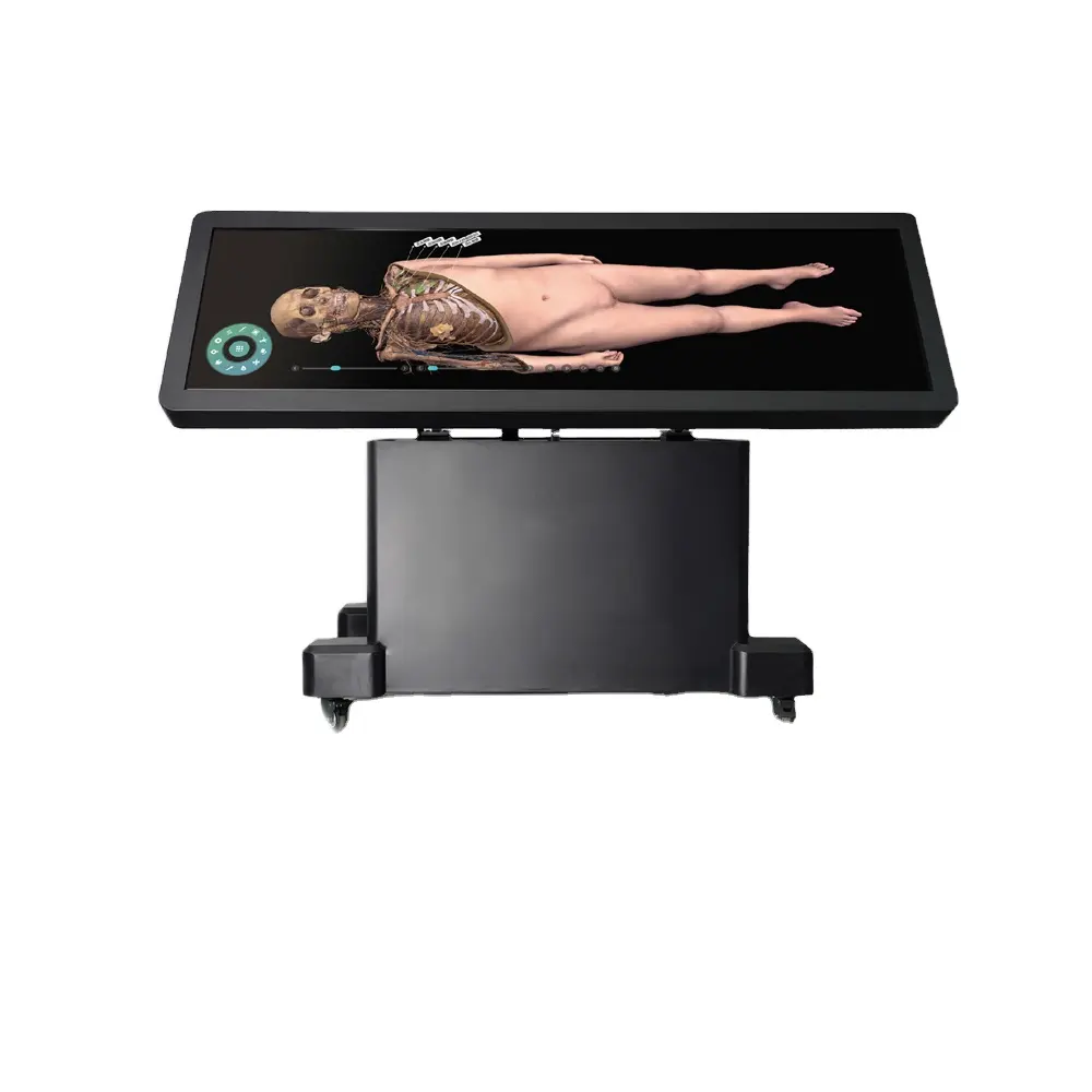 Nuovi progetti universitari sistema di anatomia umana digitale Anatomage 3D body HD Digihuman Virtual Anatomage Table