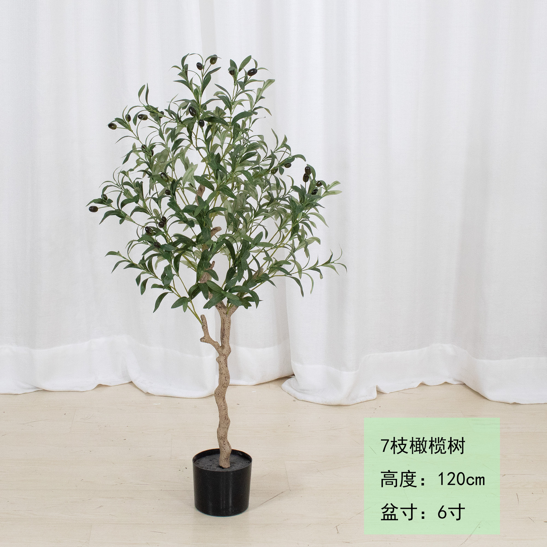 Aceituna 120cm