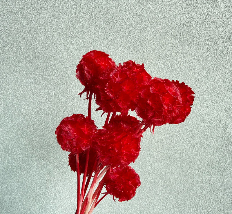 สีแดง