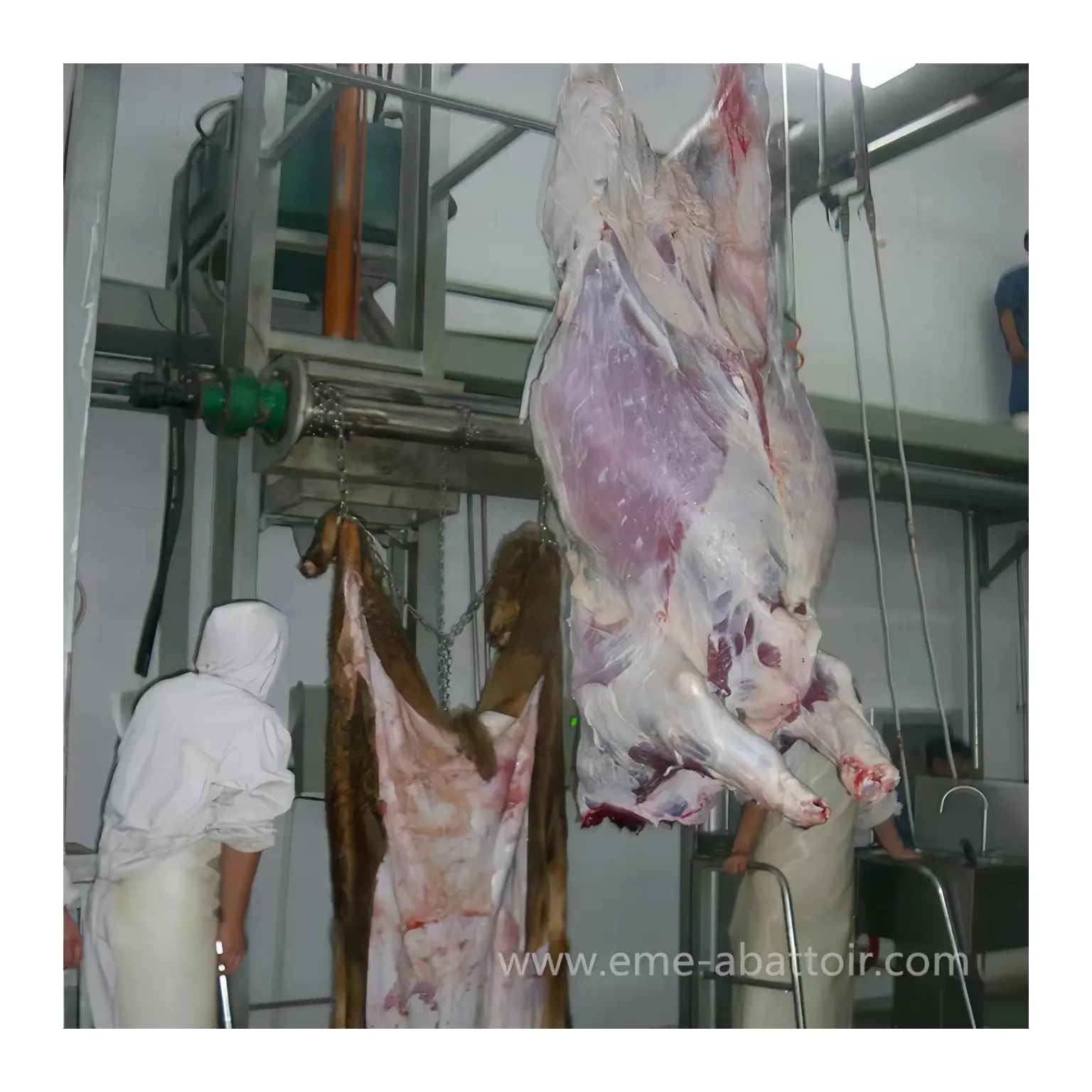 Halal gia súc Lò mổ thay đồ dòng nhà máy butcher máy móc thịt bò Lò mổ thiết bị bò giết mổ máy