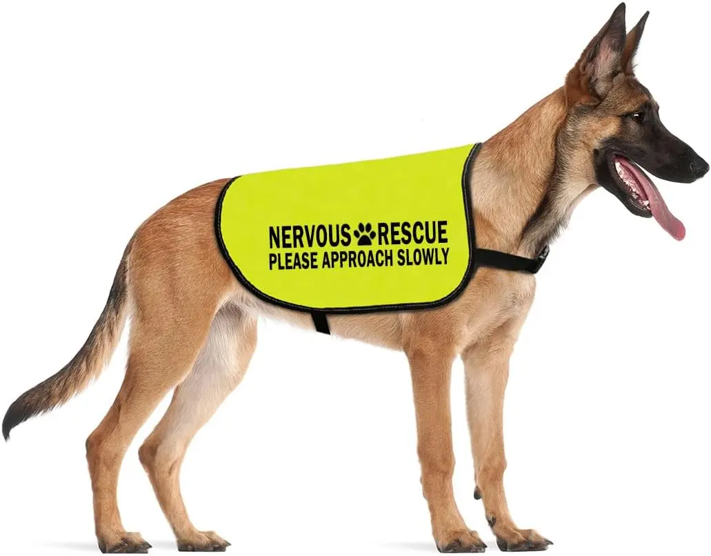 Желтая собака ходьба слоган предупреждающий жилет