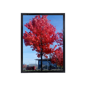 <span class=keywords><strong>12x10</strong></span> inch Khung hình màu đen hiển thị hình ảnh treo tường khung ảnh tài liệu giấy chứng nhận khung hình - Product Image 1