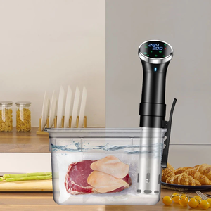 IPX7 impermeabile sottovuoto Sous Vide fornello a immersione riscaldatore circolatore pentola a cottura lenta con Display digitale funzione di prenotazione