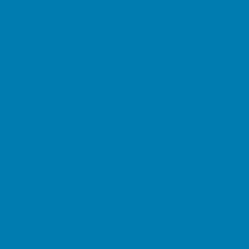 09-BLEU VIF