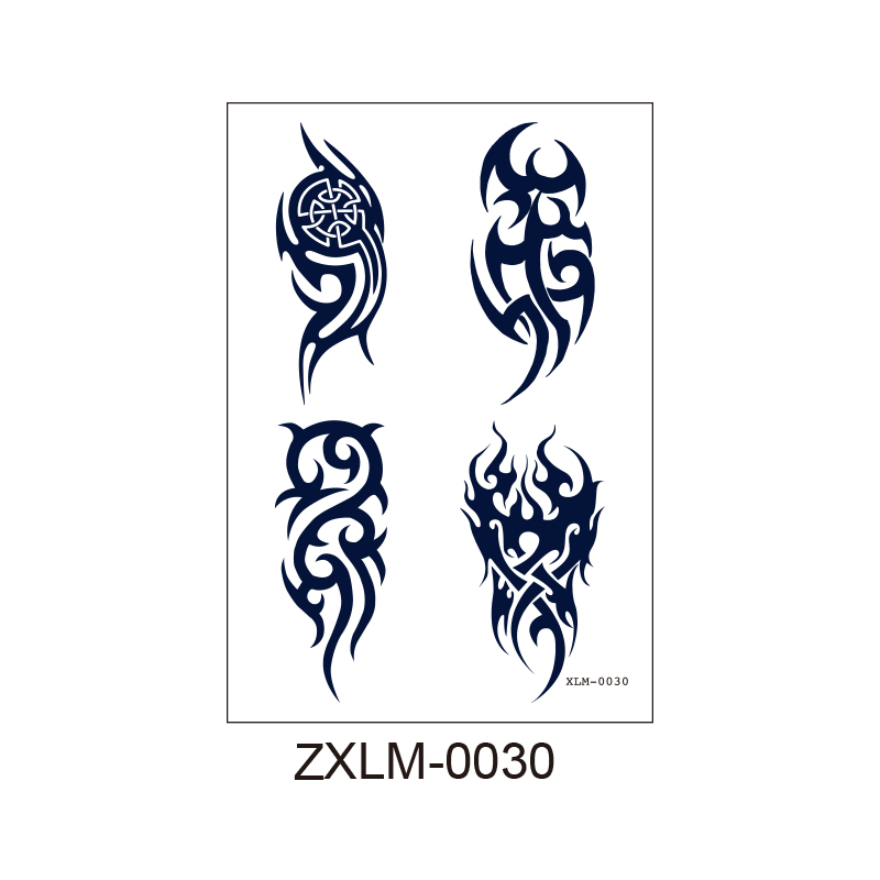 ZXLM-030