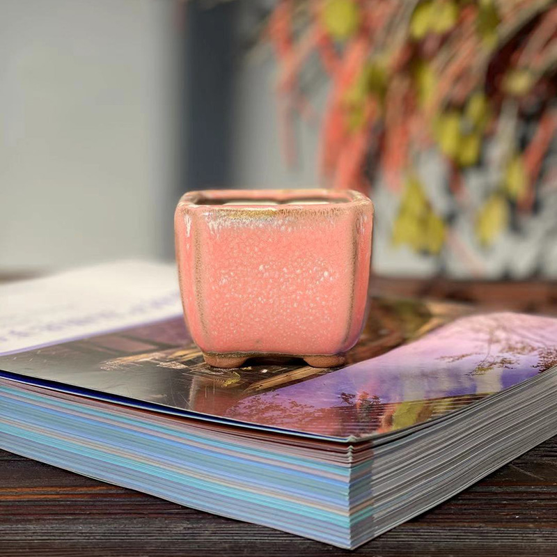 Pollen Feux d'artifice