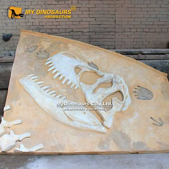 Z بلدي دينو DS-056 دينو متنزه ديناصور الأحفوري حفر بها عدة ديناصور