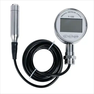 Display digitale LCD portatile alimentato a batteria, display in loco, sensore di livello del liquido - Product Image 1