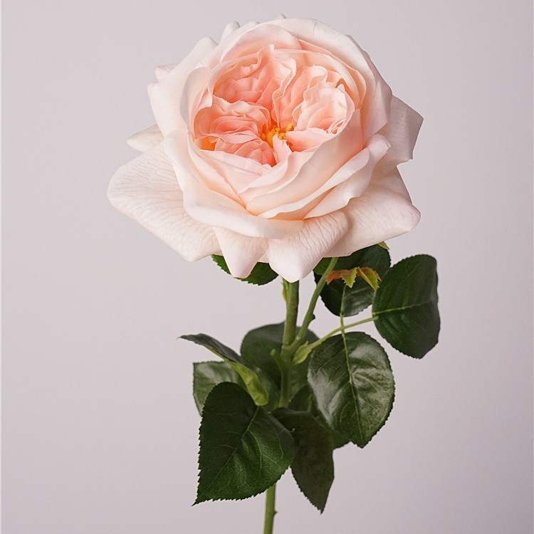 Sensation hydratante au toucher Juliet rose-rose pâle