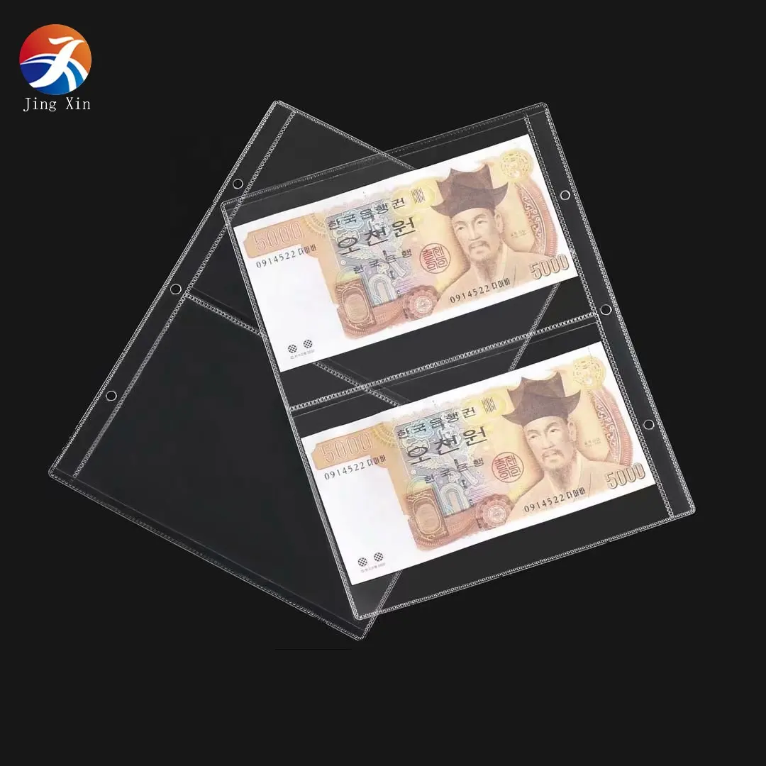 Album Grande taille 2S transparentes, pages d'albums pour billets et timbres, collection 2020