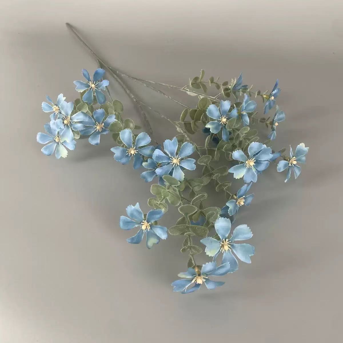 wildflowers