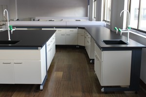 Sıcak satış laboratuvar tezgahı iş istasyonu ve laboratuvar tezgahı fiyat düşük maliyetli laboratuvar iş istasyonu inşa etmek - Product Image 6