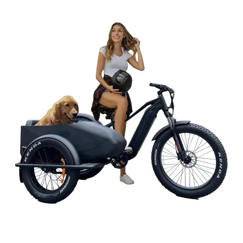 48V 250W 500W 10AH Batterie 3-Rad-Elektrofahrrad mit Seiten auto Beach Cruiser Elektro-Chopper-Fahrrad verwendet Beiwagen und Trike