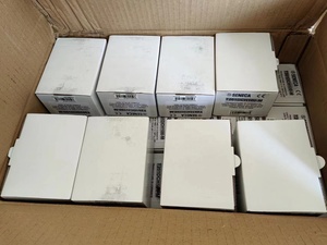 SENECA T201DCH100-M电流传感器型电流传感器 - Product Image 2