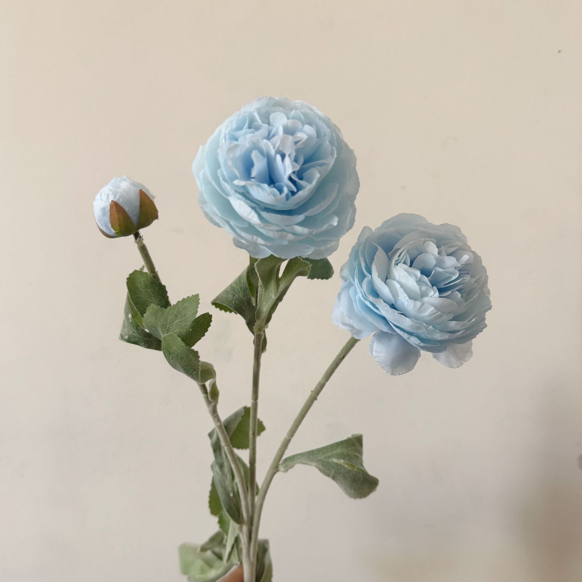 Blu-chiaro