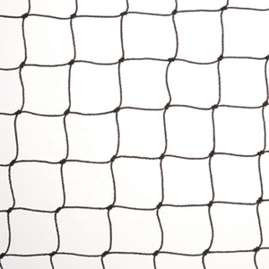 Vegetable <strong>Custom</strong> Anti Bird <strong>Net</strong> Cheap Polyethylene <strong>Mesh</strong> Bird Protection Netting Plastic Anti Bird <strong>Net</strong> - Product Image 6